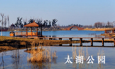 繁忙的网站建设工作之余即将踏上三山岛之行-新媒体营销,新媒体广告公司,上海网络营销,微信代运营,高端网站建设,网站建设公司